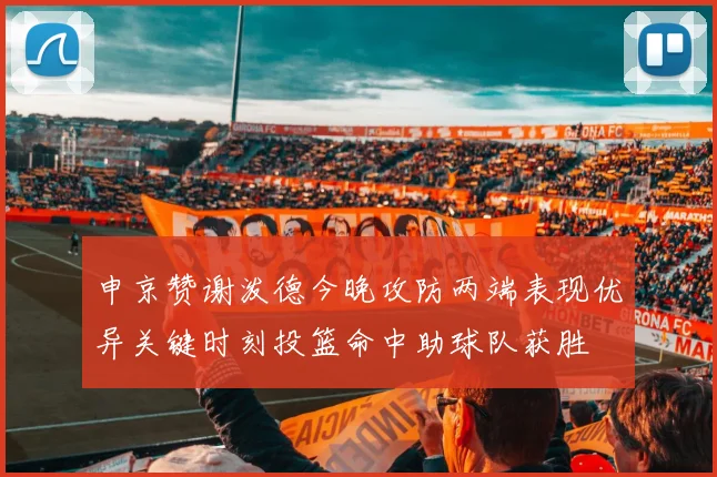 申京赞谢泼德今晚攻防两端表现优异关键时刻投篮命中助球队获胜