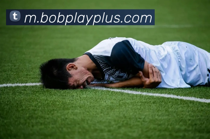 BOB体育平台生态图